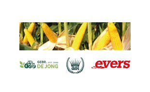 Bezoek de maisdemo in Hooge Zwaluwe, 3 september 2025  - Evers Agro