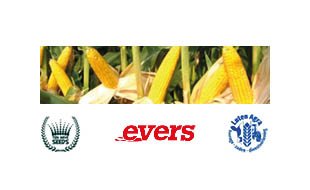 Bezoek Evers op de maisdemo Nijeveen, 26 augustus 2025 - Evers Agro
