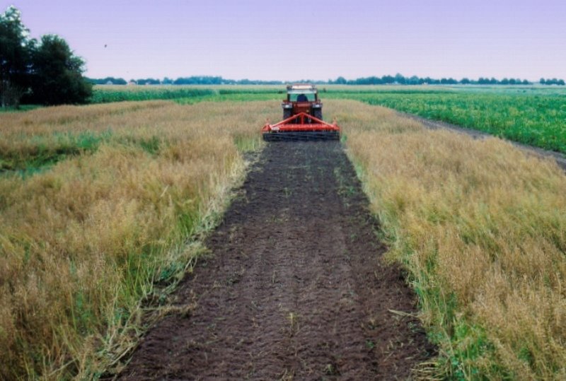 Groenbemester inwerken