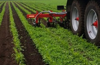 Schoffelbemester voor het bemesten en schoffelen van maisland in één werkgang 